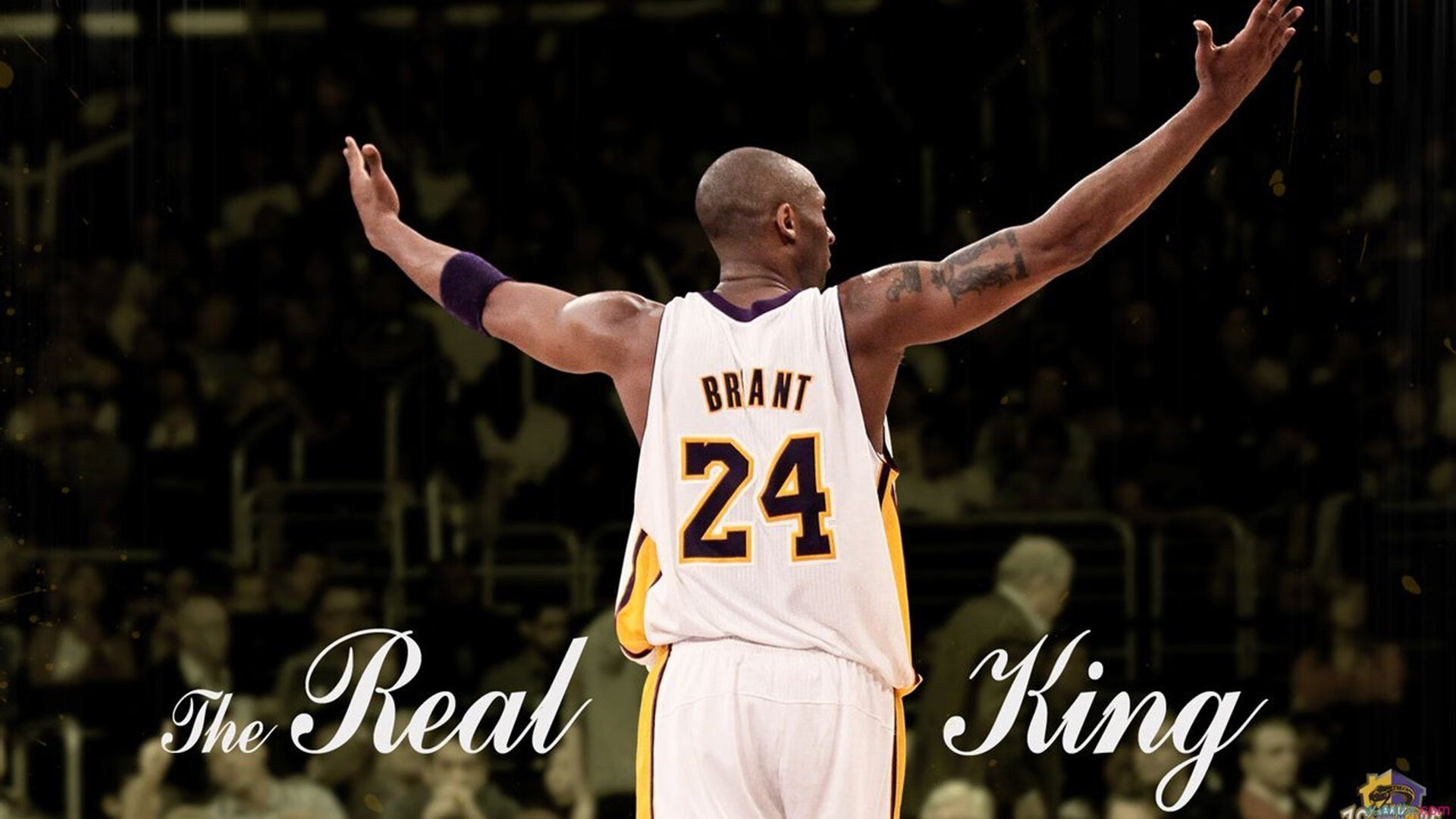 开拓者强势晋级太阳，西亚卡姆在欧冠决赛接管比赛—跨界竞技场上的唯一性启示